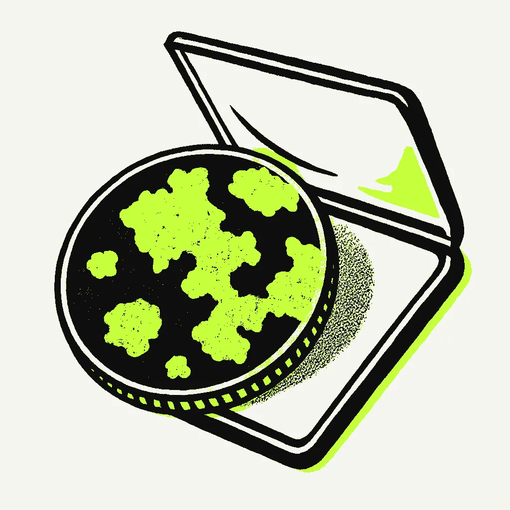 What good storage actually does illustration